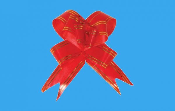 Laço para presente 18' 17mmx35cm 10x1