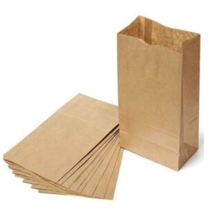 SACO PAPEL P/ DELIVERY 5KG (18X29,5X10)